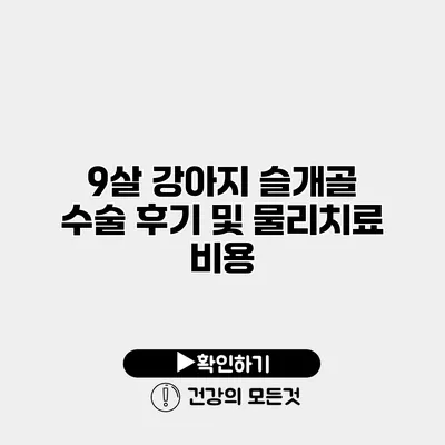 9살 강아지 슬개골 수술 후기 및 물리치료 비용