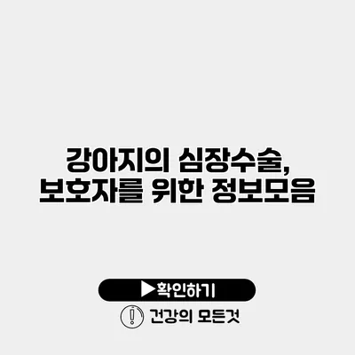 강아지의 심장수술, 보호자를 위한 정보모음