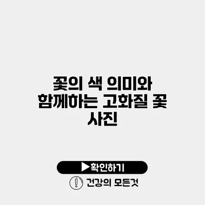 꽃의 색 의미와 함께하는 고화질 꽃 사진