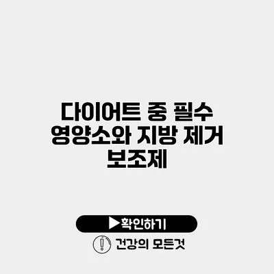 다이어트 중 필수 영양소와 지방 제거 보조제