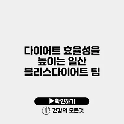 다이어트 효율성을 높이는 일산 블리스다이어트 팁