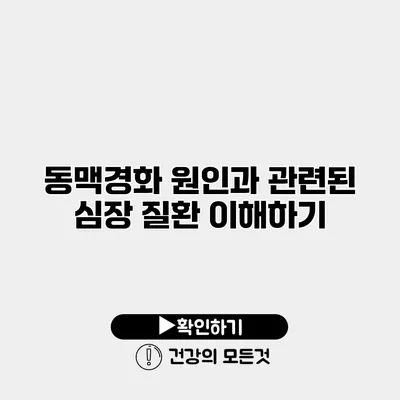 동맥경화 원인과 관련된 심장 질환 이해하기