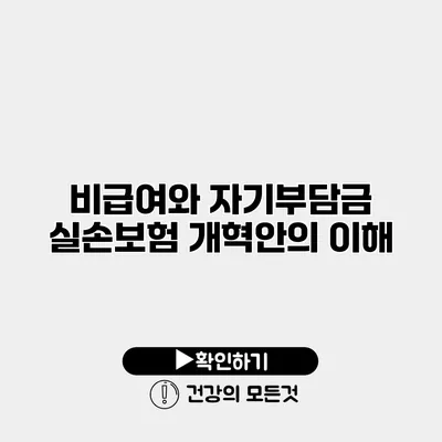 비급여와 자기부담금 실손보험 개혁안의 이해