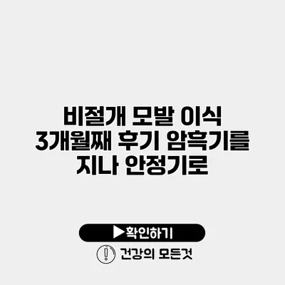 비절개 모발 이식 3개월째 후기 암흑기를 지나 안정기로