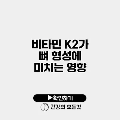 비타민 K2가 뼈 형성에 미치는 영향
