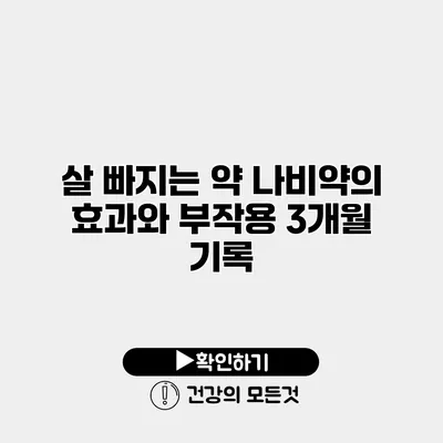 살 빠지는 약 나비약의 효과와 부작용 3개월 기록