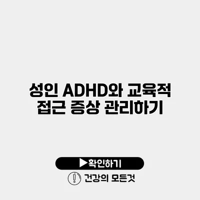 성인 ADHD와 교육적 접근 증상 관리하기