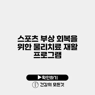 스포츠 부상 회복을 위한 물리치료 재활 프로그램