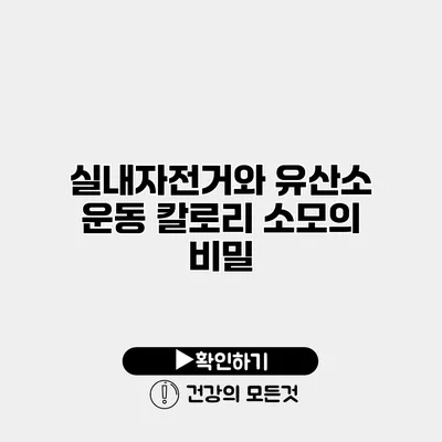 실내자전거와 유산소 운동 칼로리 소모의 비밀
