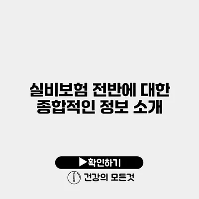 실비보험 전반에 대한 종합적인 정보 소개