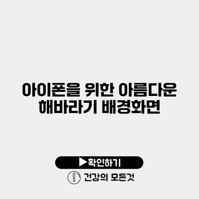 아이폰을 위한 아름다운 해바라기 배경화면