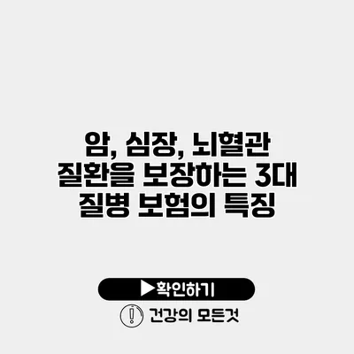 암, 심장, 뇌혈관 질환을 보장하는 3대 질병 보험의 특징