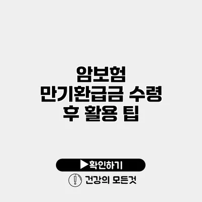 암보험 만기환급금 수령 후 활용 팁