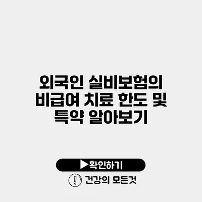 외국인 실비보험의 비급여 치료 한도 및 특약 알아보기