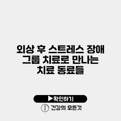 외상 후 스트레스 장애 그룹 치료로 만나는 치료 동료들