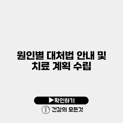 원인별 대처법 안내 및 치료 계획 수립