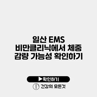 일산 EMS 비만클리닉에서 체중 감량 가능성 확인하기