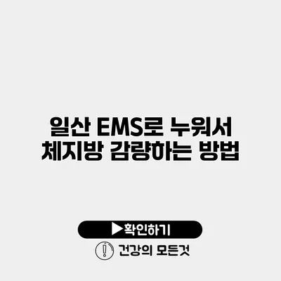 일산 EMS로 누워서 체지방 감량하는 방법