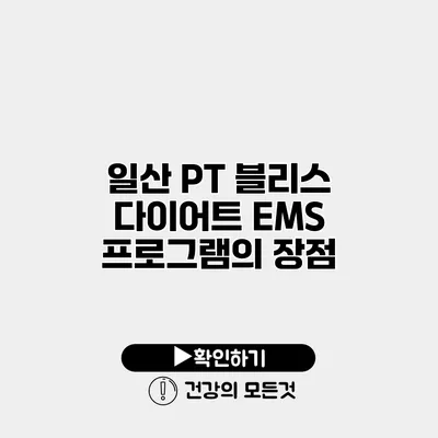 일산 PT 블리스 다이어트 EMS 프로그램의 장점