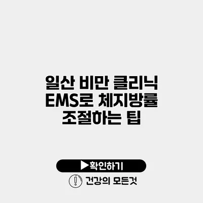 일산 비만 클리닉 EMS로 체지방률 조절하는 팁