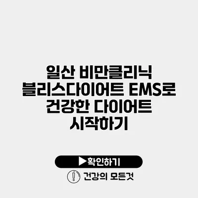 일산 비만클리닉 블리스다이어트 EMS로 건강한 다이어트 시작하기