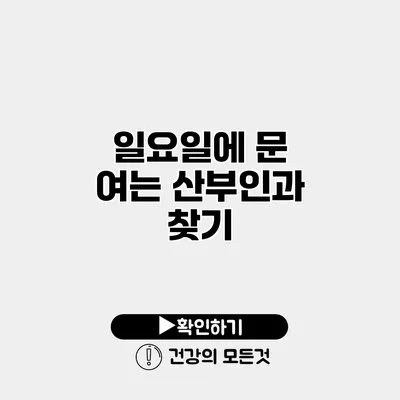 일요일에 문 여는 산부인과 찾기