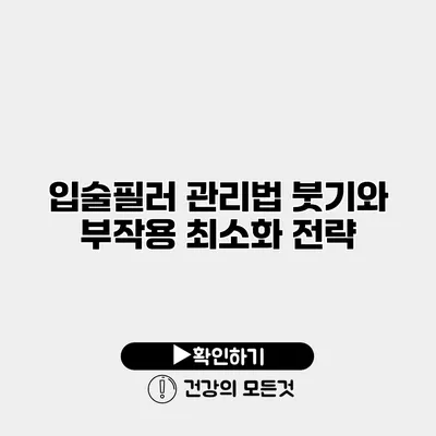 입술필러 관리법 붓기와 부작용 최소화 전략