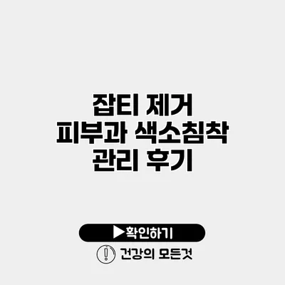 잡티 제거 피부과 색소침착 관리 후기