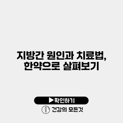 지방간 원인과 치료법, 한약으로 살펴보기