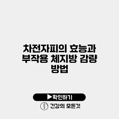 차전자피의 효능과 부작용 체지방 감량 방법