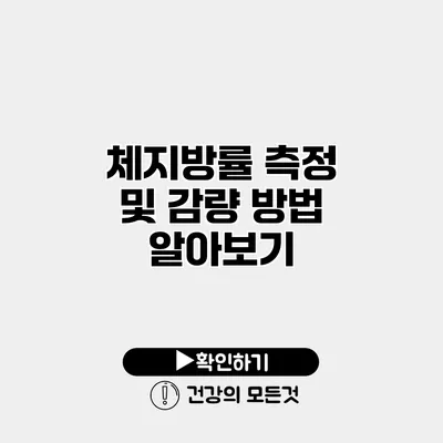 체지방률 측정 및 감량 방법 알아보기