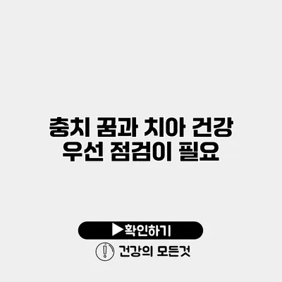 충치 꿈과 치아 건강 우선 점검이 필요