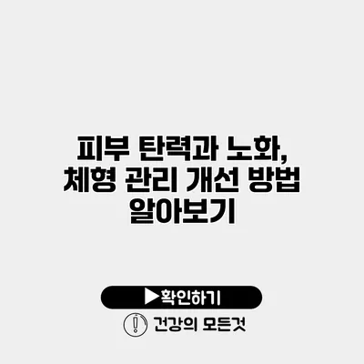 피부 탄력과 노화, 체형 관리 개선 방법 알아보기