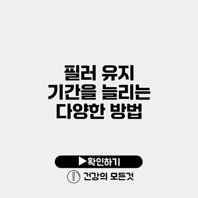 필러 유지 기간을 늘리는 다양한 방법