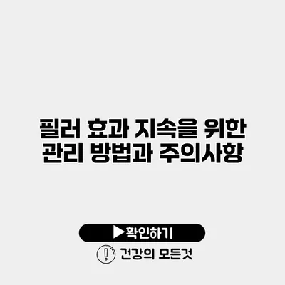 필러 효과 지속을 위한 관리 방법과 주의사항