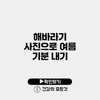 해바라기 사진으로 여름 기분 내기