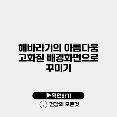 해바라기의 아름다움 고화질 배경화면으로 꾸미기