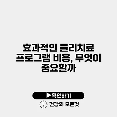 효과적인 물리치료 프로그램 비용, 무엇이 중요할까?