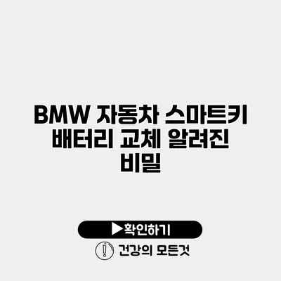 BMW 자동차 스마트키 배터리 교체 알려진 비밀