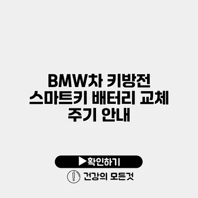 BMW차 키방전 스마트키 배터리 교체 주기 안내