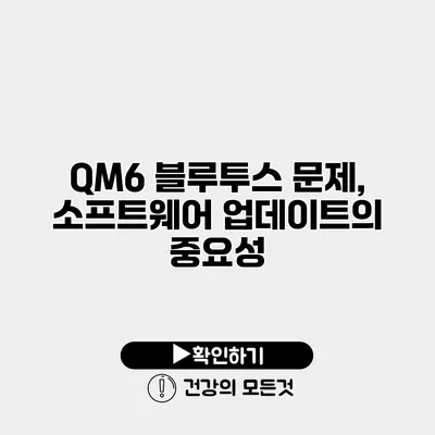 QM6 블루투스 문제, 소프트웨어 업데이트의 중요성