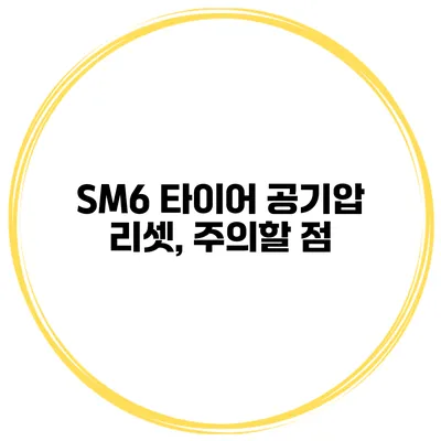 SM6 타이어 공기압 리셋, 주의할 점