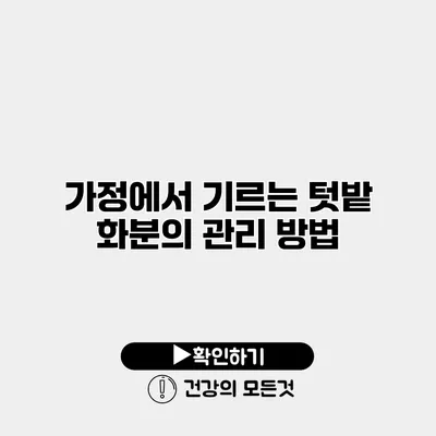가정에서 기르는 텃밭 화분의 관리 방법