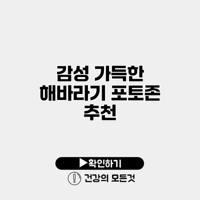 감성 가득한 해바라기 포토존 추천