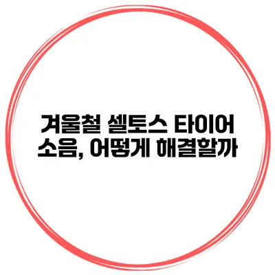 겨울철 셀토스 타이어 소음, 어떻게 해결할까?
