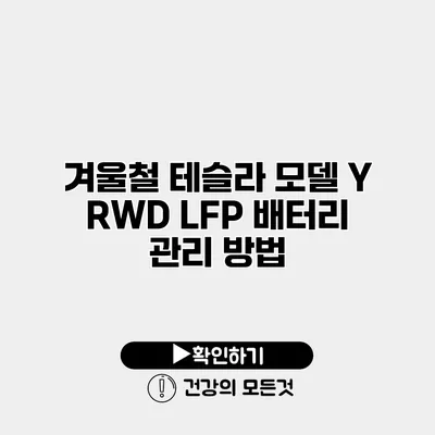 겨울철 테슬라 모델 Y RWD LFP 배터리 관리 방법