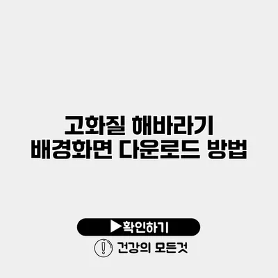 고화질 해바라기 배경화면 다운로드 방법