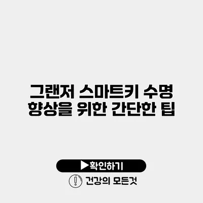 그랜저 스마트키 수명 향상을 위한 간단한 팁