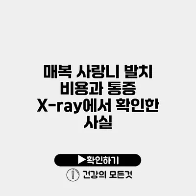 매복 사랑니 발치 비용과 통증 X-ray에서 확인한 사실