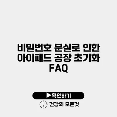 비밀번호 분실로 인한 아이패드 공장 초기화 FAQ